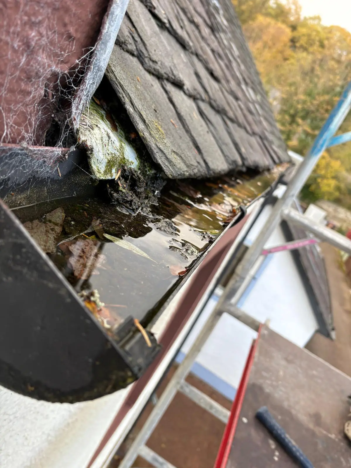 Storm-damaged tenement gutter