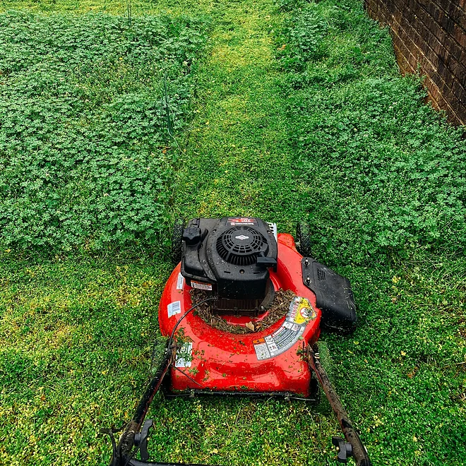 Lawnmower cutting a tenement back green